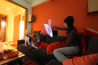 Illustration for article titled Motion Gallery 2